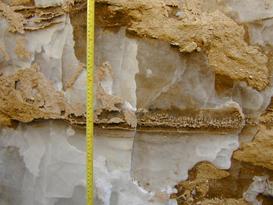 中圣科技(江蘇)集團(tuán)股份有限公司